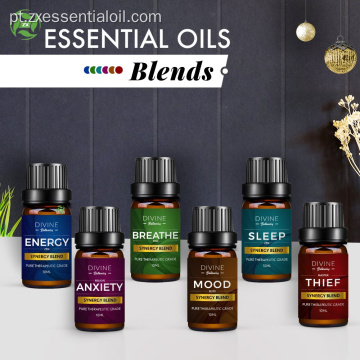 Presentes do dia Essential Oil Blend Set top 6